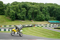 Advanced Group Yellow Bikes